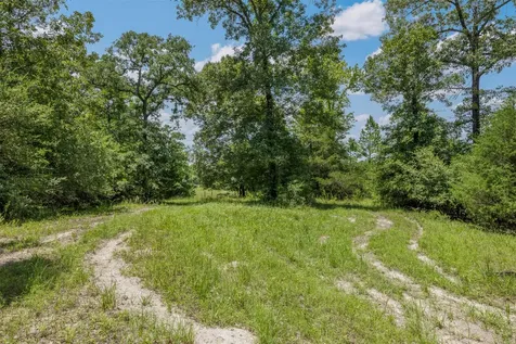 17952 County Road 224 Oakwood TX 75855