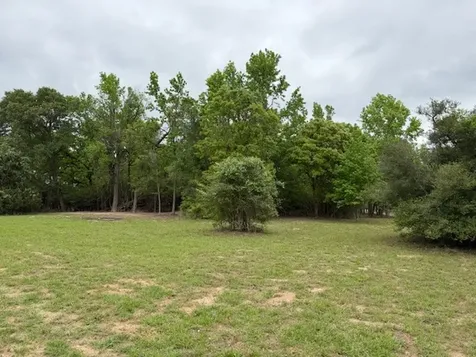 17952 County Road 224 Oakwood TX 75855