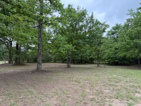 17952 County Road 224 Oakwood TX 75855