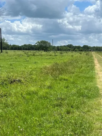 14113 Peters Road Needville TX 77461