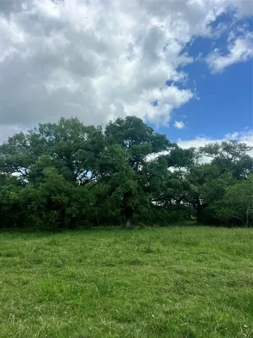 14113 Peters Road Needville TX 77461