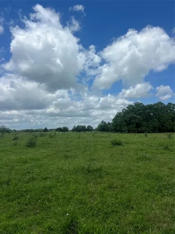 14113 Peters Road Needville TX 77461