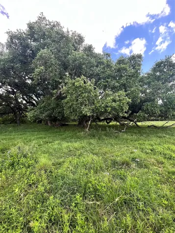 14113 Peters Road Needville TX 77461