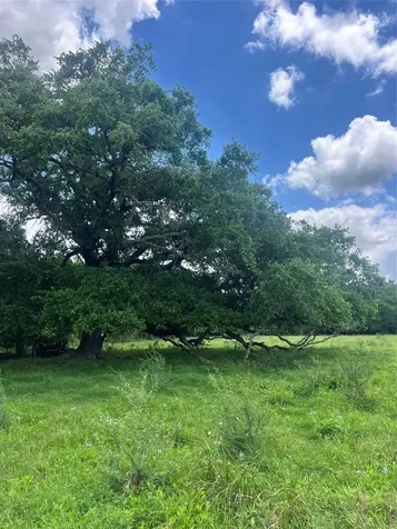 14113 Peters Road Needville TX 77461