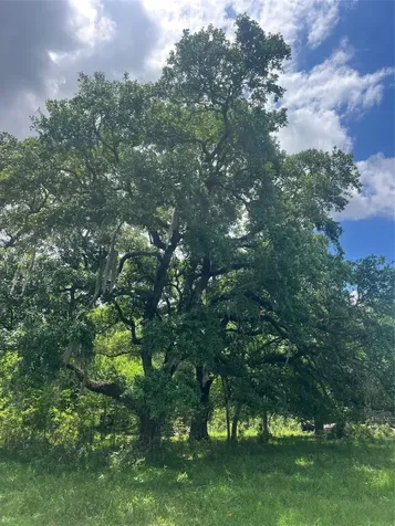 14113 Peters Road Needville TX 77461