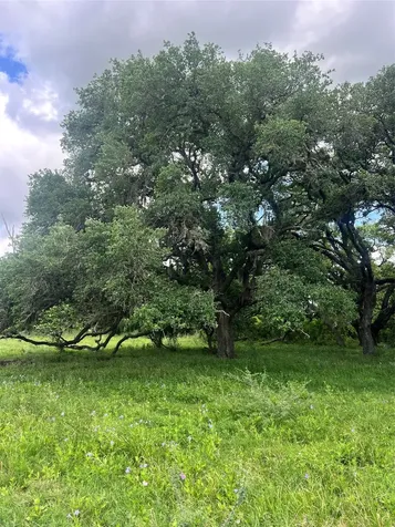 14113 Peters Road Needville TX 77461