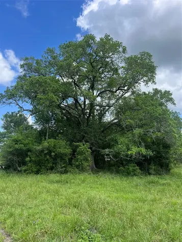 14113 Peters Road Needville TX 77461