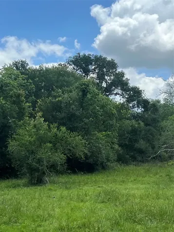 14113 Peters Road Needville TX 77461