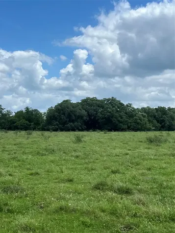 14113 Peters Road Needville TX 77461