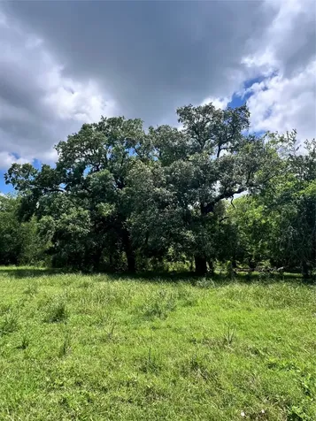 14113 Peters Road Needville TX 77461