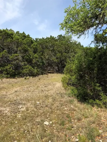857 Rutherford Fischer TX 78623
