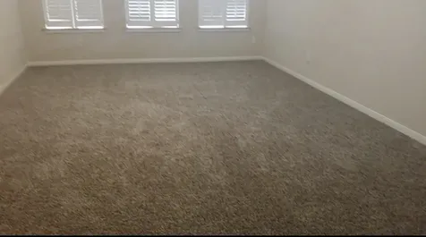 3518 Shadow Bluff Court Houston TX 77082