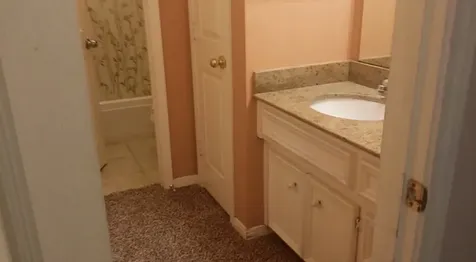 3518 Shadow Bluff Court Houston TX 77082