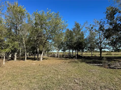 Lot 13 0 Mesquite Road Wallis TX 77485