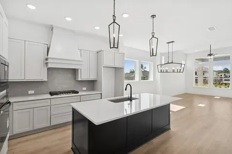 15806 Tamarin Tiger Court Conroe TX 77302