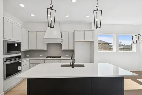 15806 Tamarin Tiger Court Conroe TX 77302