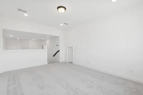 15806 Tamarin Tiger Court Conroe TX 77302