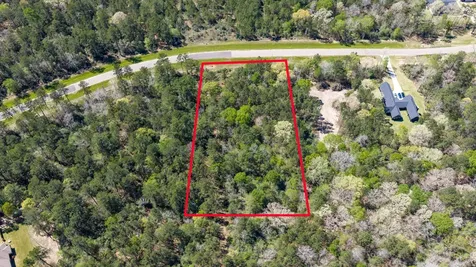 15824 Wood Grove Way Willis TX 77378