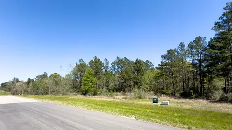 15824 Wood Grove Way Willis TX 77378