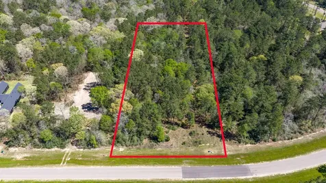15824 Wood Grove Way Willis TX 77378
