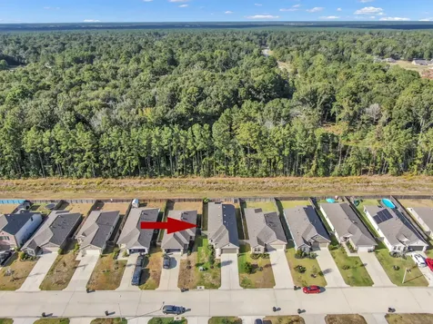 22195 Birchfield Grove Lane New Caney TX 77357
