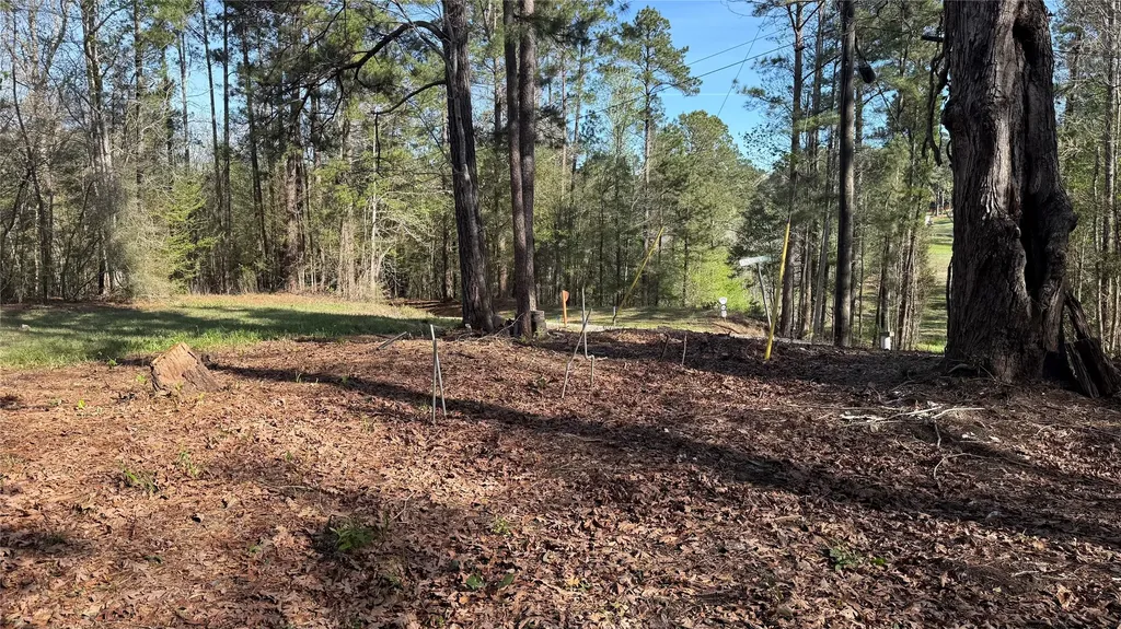 361 E Slumberlane Drive Livingston TX 77351