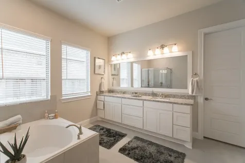 73 Botanical Vista Drive Tomball TX 77375