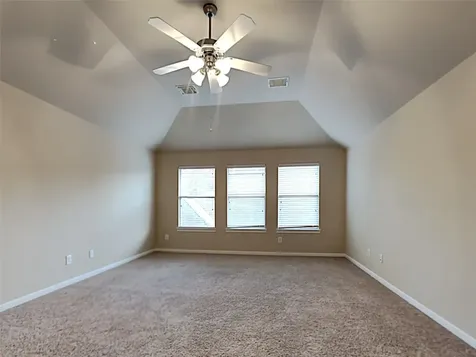 15 Fillgrove Place The Woodlands TX 77382