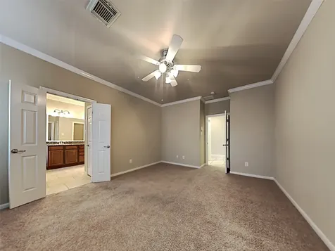 15 Fillgrove Place The Woodlands TX 77382
