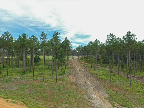 0012 Nelson Drive Livingston TX 77351
