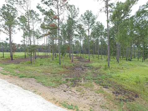 0012 Nelson Drive Livingston TX 77351