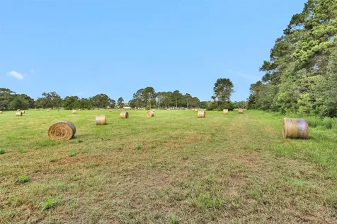 0000 W Fm 2693 New Waverly TX 77358