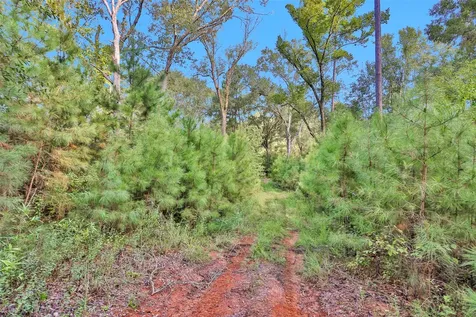 0000 W Fm 2693 New Waverly TX 77358