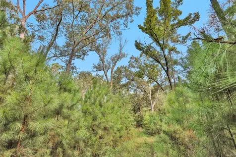 0000 W Fm 2693 New Waverly TX 77358