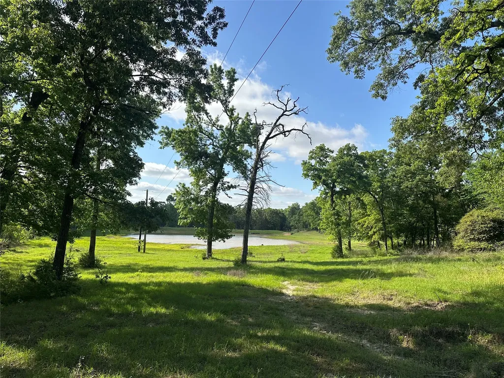 439 Walnut Lane Lane Buffalo TX 75831