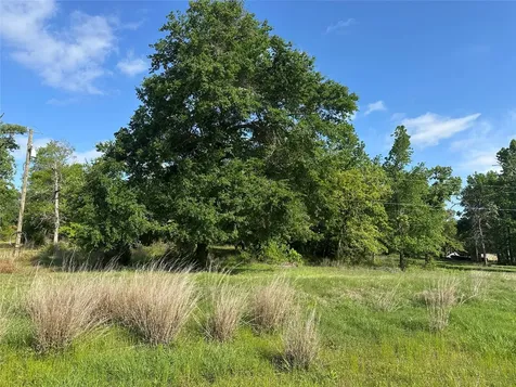 439 Walnut Lane Lane Buffalo TX 75831
