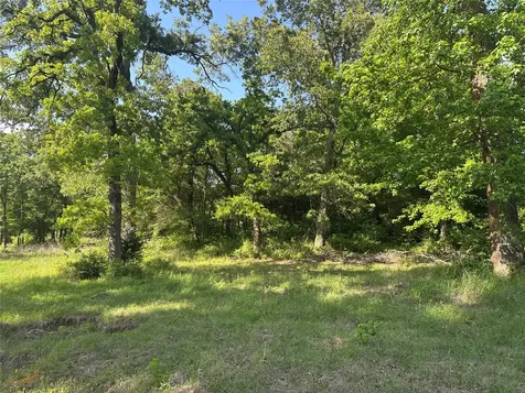 439 Walnut Lane Lane Buffalo TX 75831
