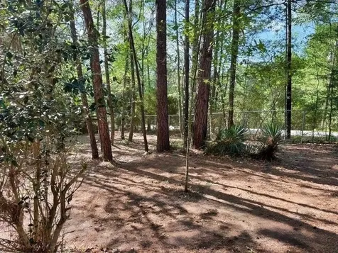 123 Sea Gull Drive Livingston TX 77351