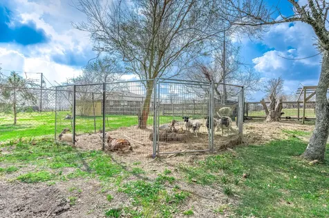 1619 Cr 387 -Marilyn Street Alvin TX 77511