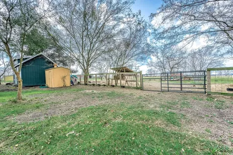 1619 Cr 387 -Marilyn Street Alvin TX 77511