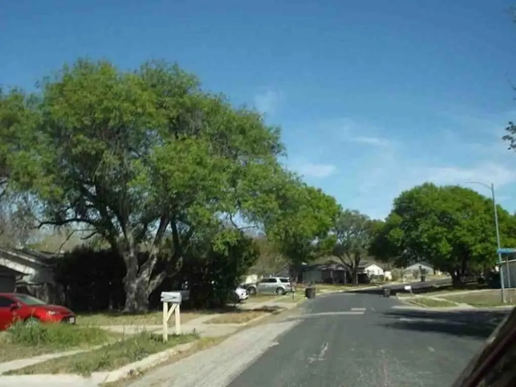 6035 Little Brandywine Creek San Antonio TX 78233
