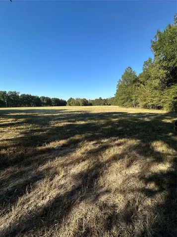 123 County Road 300 Oakwood TX 75855