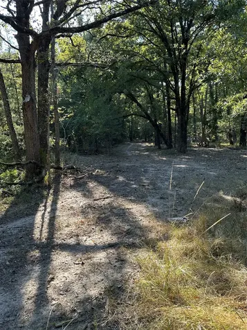 123 County Road 300 Oakwood TX 75855