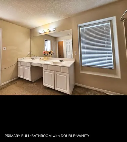 29433 Forest Floor Lane Spring TX 77386