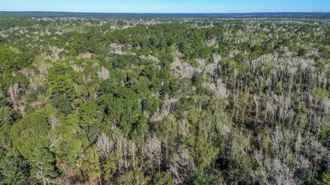 0 Magnolia Drive Cleveland TX 77328