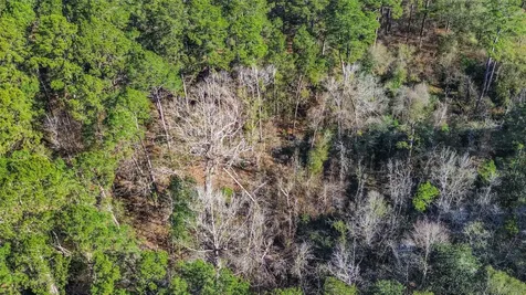 0 Magnolia Drive Cleveland TX 77328