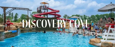 22274 Junction Peak Court Porter TX 77365