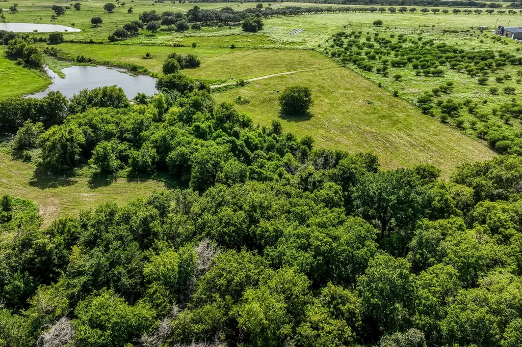 1554 Bluebonnet Ridge Drive Chappell Hill TX 77426