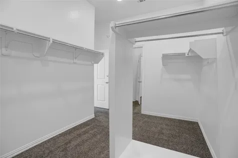 2718 Ripe Amber Cup Court Richmond TX 77406