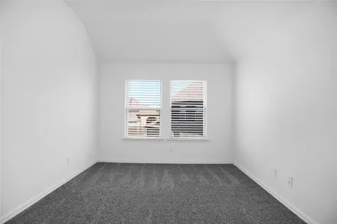 2718 Ripe Amber Cup Court Richmond TX 77406